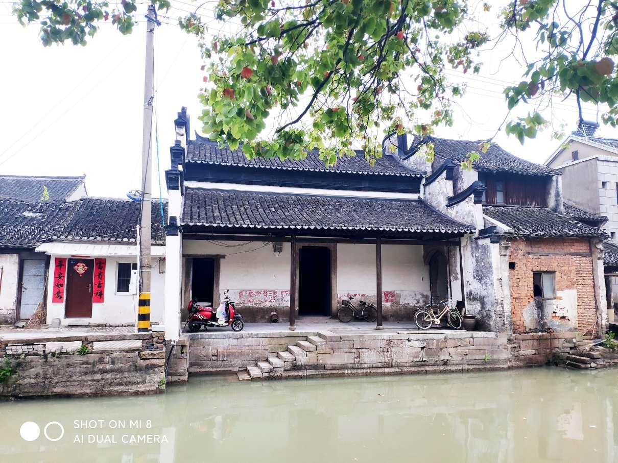 杨幂粉色浴袍秀幸福,惊艳现身撸猫模样